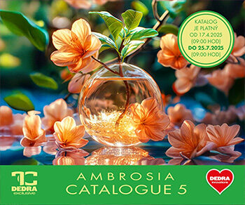 katalog-2+